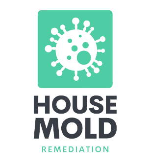 House Mold Remediation